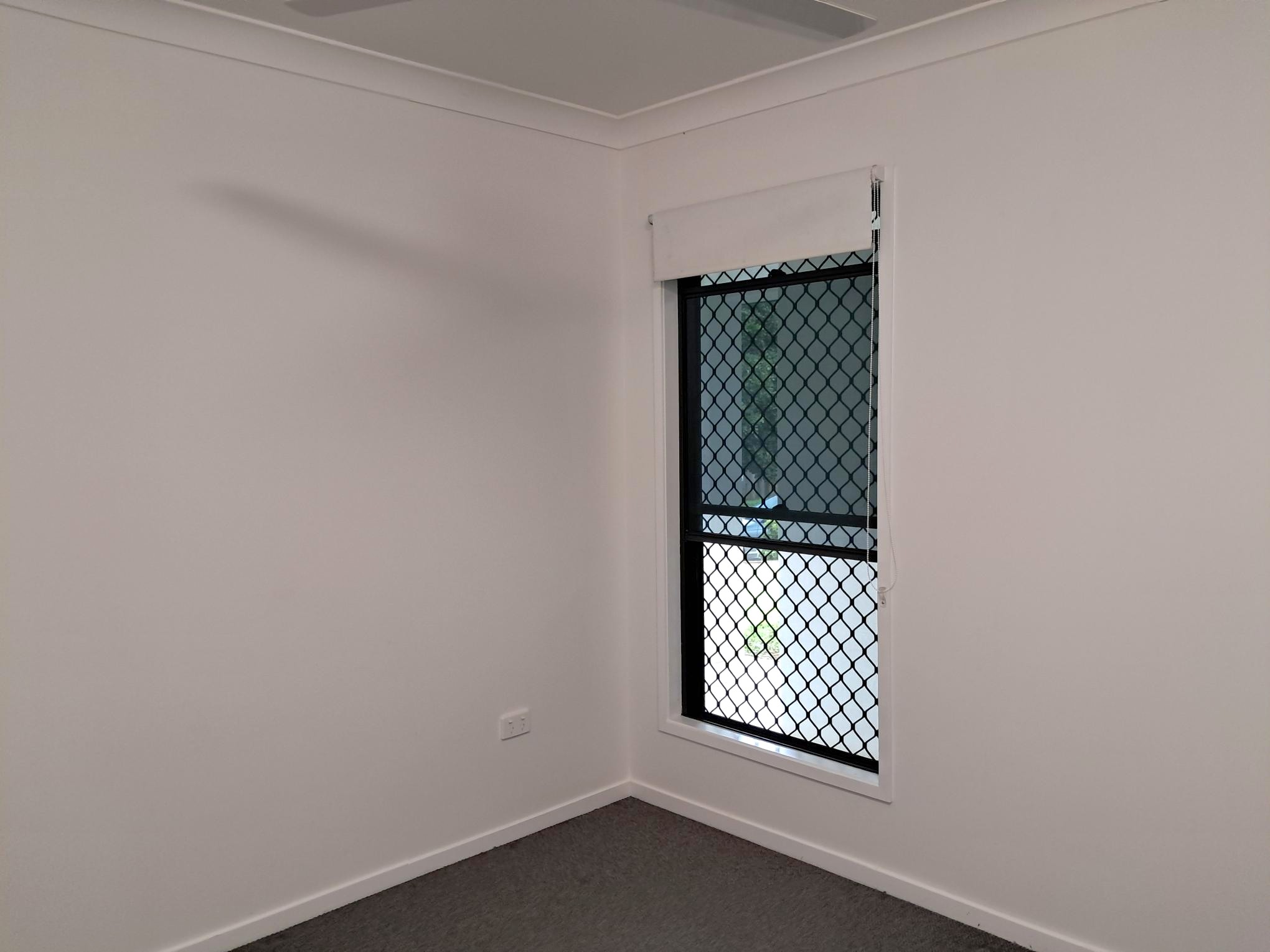 Minimalist bedroom corner with white walls, grey carpet flooring, and a single window with security mesh – natural light filtering through.