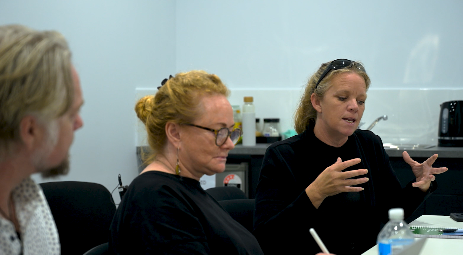 The Kanda team participating in Sanctuary Model training workshop